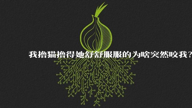 我撸猫撸得她舒舒服服的为啥突然咬我？