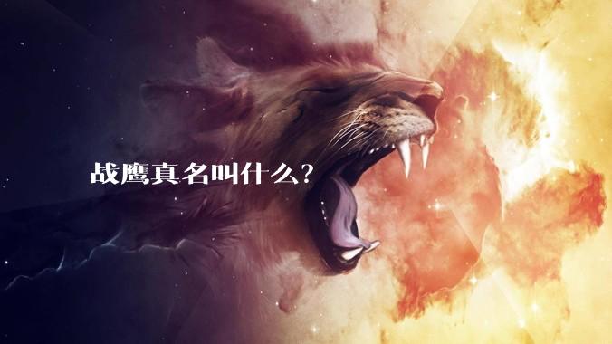 战鹰真名叫什么？