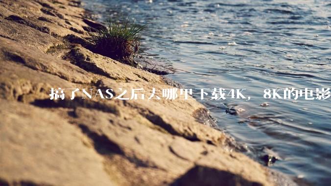 搞了NAS之后去哪里下载4K，8K的电影？