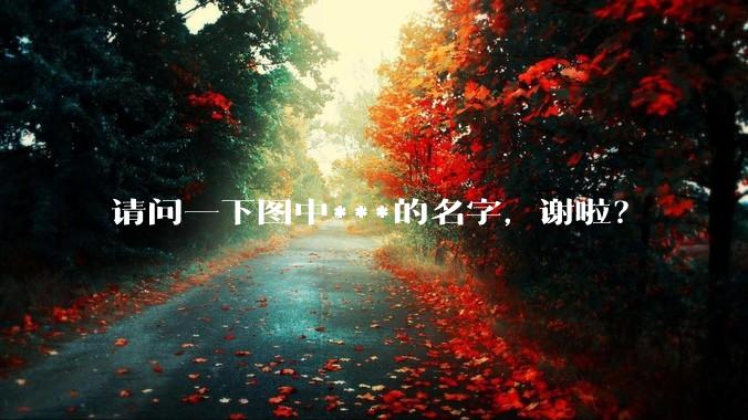 请问一下图中***的名字，谢啦？