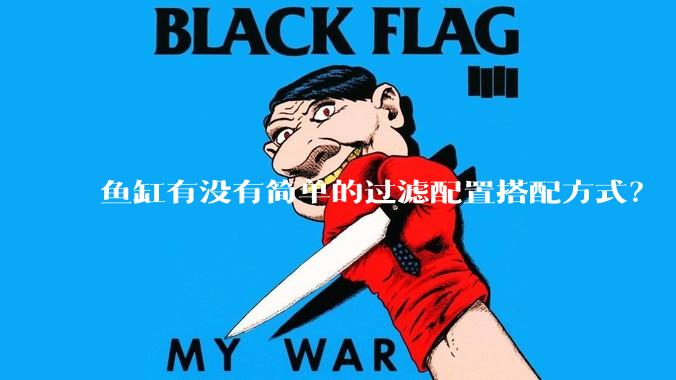 鱼缸有没有简单的过滤配置搭配方式？