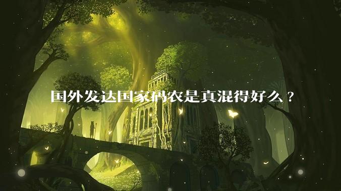 国外发达国家码农是真混得好么?